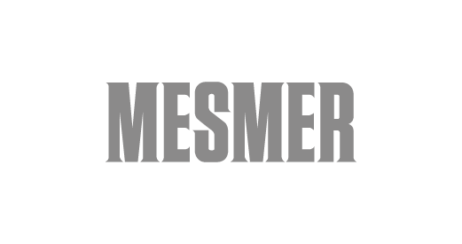 OUR PARTNERS MESMER